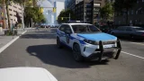 Police Simulator: Patrol Officers по сети