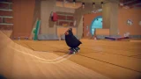 SkateBIRD