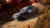DiRT Rally 2.0 по сети