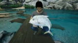 Ultimate Fishing Simulator 2 по сети