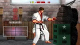 Karate Master 2 Knock Down Blow