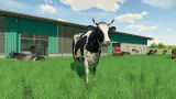 Farming Simulator 22