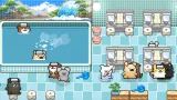 Animal Spa