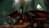 Dragon Age: Origins Awakening