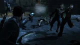 Dark Sector