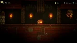 Spelunky 2 по сети