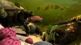 Feed and Grow: Fish по сети