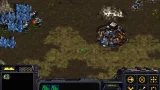 StarCraft Stellar Forces