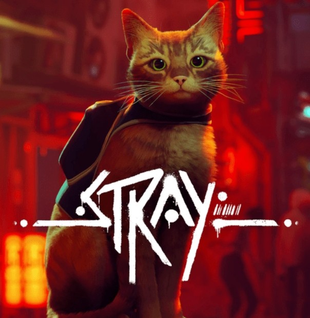 Stray