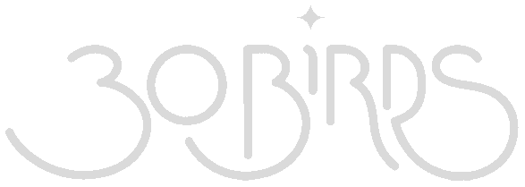 30 Birds