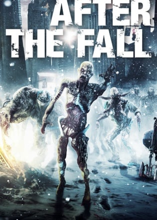 After the Fall After the Fall