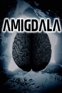 Amigdala Amigdala