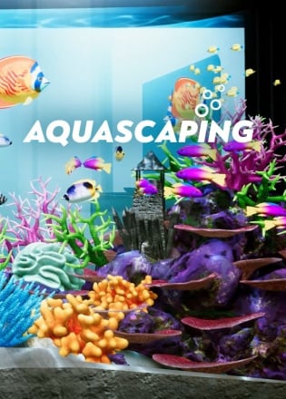 AQUASCAPING