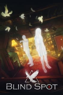 Blind Spot