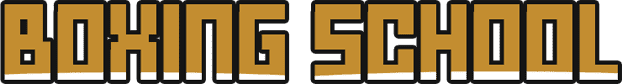 Boxing School