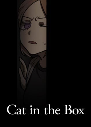 Cat in the Box Cat in the Box