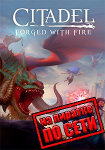 Citadel: Forged with Fire по сети