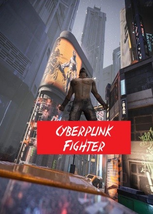 Cyberpunk Fighter