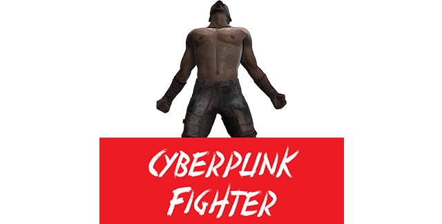 Cyberpunk Fighter