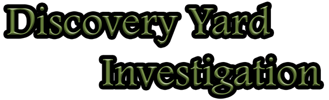 Discovery Yard Investigation