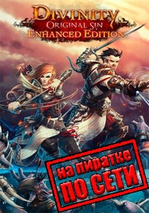 Divinity Original Sin Enhanced Edition по сети