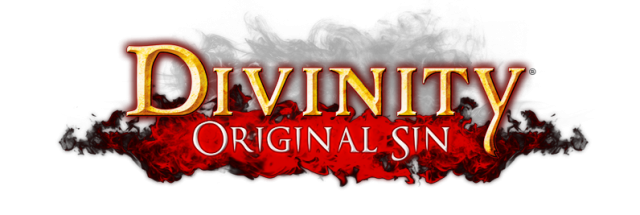 Divinity Original Sin Enhanced Edition по сети