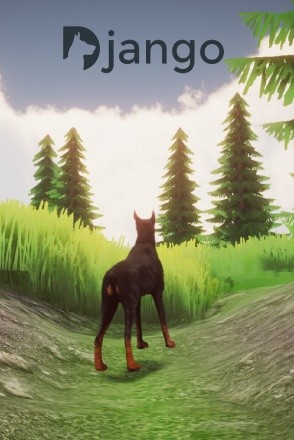 Django Django