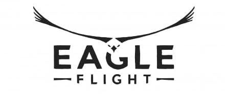 Eagle Flight