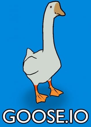 GOOSE.IO GOOSE.IO