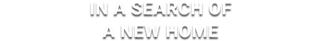 In a search of a new home