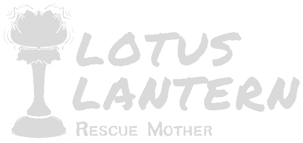 Lotus Lantern: Rescue Mother