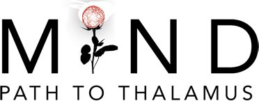 MIND: Path to Thalamus Enhanced Edition