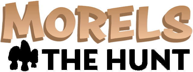Morels: The Hunt
