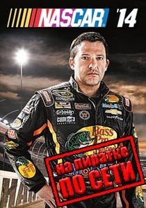 NASCAR 14 по сети