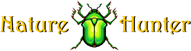 Nature Hunter