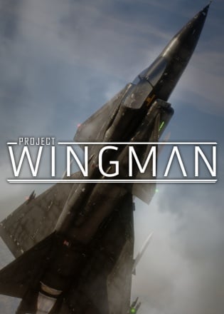 Project Wingman
