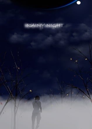 Rainy Night