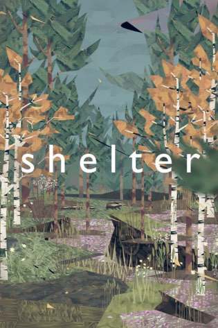 Shelter