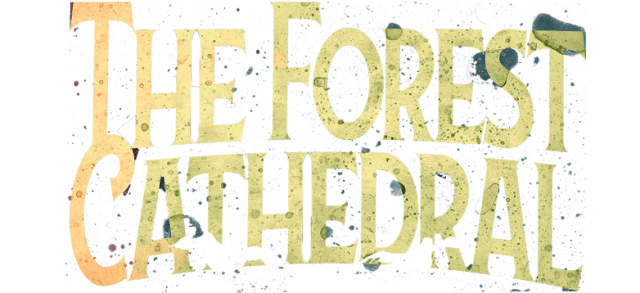 The Forest Cathedral