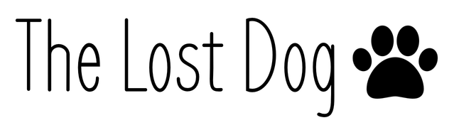 The Lost Dog
