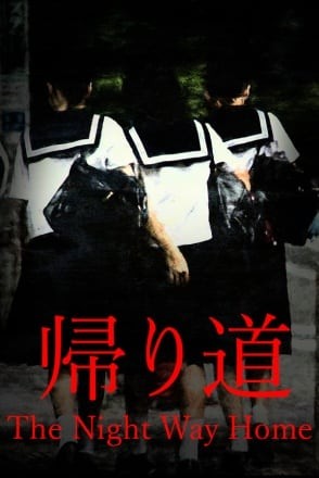 The Night Way Home The Night Way Home