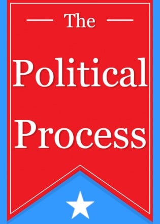 The Political Process