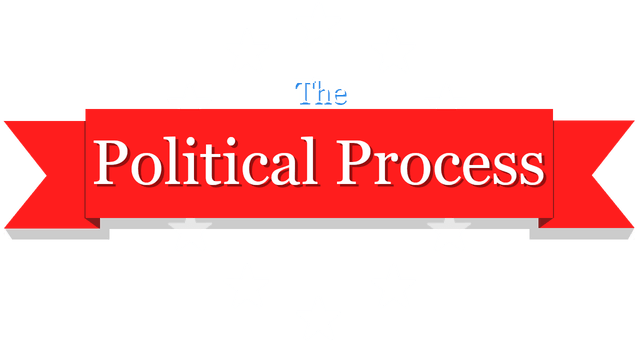 The Political Process