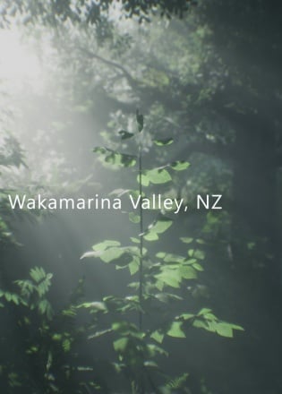 Wakamarina Valley, New Zealand
