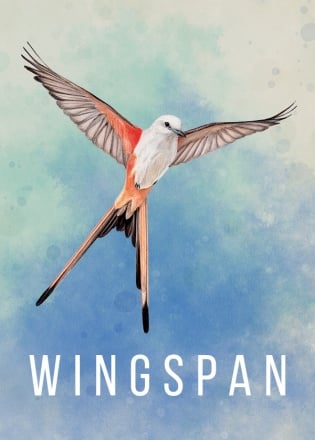 WINGSPAN (КРЫЛЬЯ)